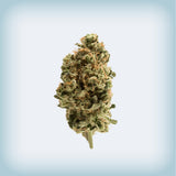 Blue Taffie Premium Flower (Smalls)