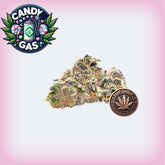 🍭 Candy Gas Premium Flower