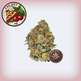 Cherry Pie Premium Flower