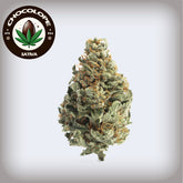 π« Chocolope THCa