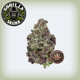 🦍Gorilla Skunk THCa