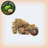🍈 Guava Tartz THCA