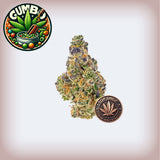 Gumbo THCa