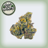Gush Mintz THCa