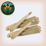 🌺 Hawaiian Haze 1G Pre-Roll