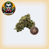 Jokerz Premium Flower (OZ Sale)