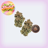 Sherbet Premium Flower (Smalls)