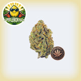 Super Lemon Haze THCa