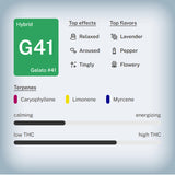 Gelato 41 Premium Flower Snowcaps