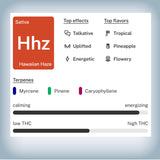 🌺 Hawaiian Haze 1G Pre-Roll