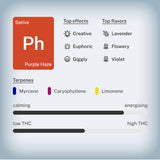 🍇 Purple Haze THCa Vape Cart