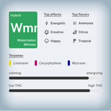 Watermelon Mimosa THCa