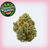 Watermelon Mimosa THCa