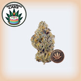 Wedding Cake Premium Flower