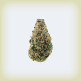 🍬 Sugar High Premium Flower