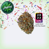 Jealousy Premium Flower