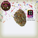 Jealousy Premium Flower