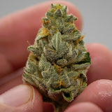 Jack Herer Autoflower Seeds