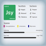 Jealousy Premium Flower