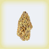 Lemon Cherry Gelato Premium Flower