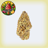 Lemon Cherry Gelato Premium Flower