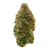 Trainwreck Feminized Seeds (2 Pack)