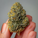 Wedding Cake Feminized Seeds