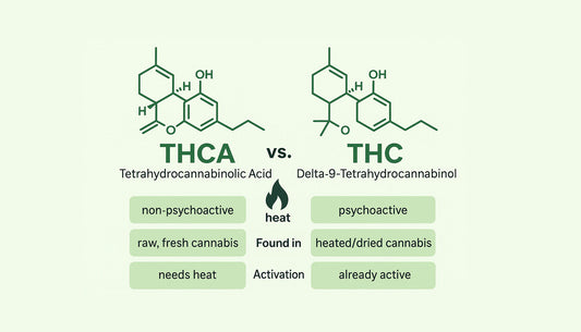 Unlock the Power of THCa: Exploring the Difference Between THCa and THC