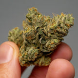 AK-47 Autoflower Seeds