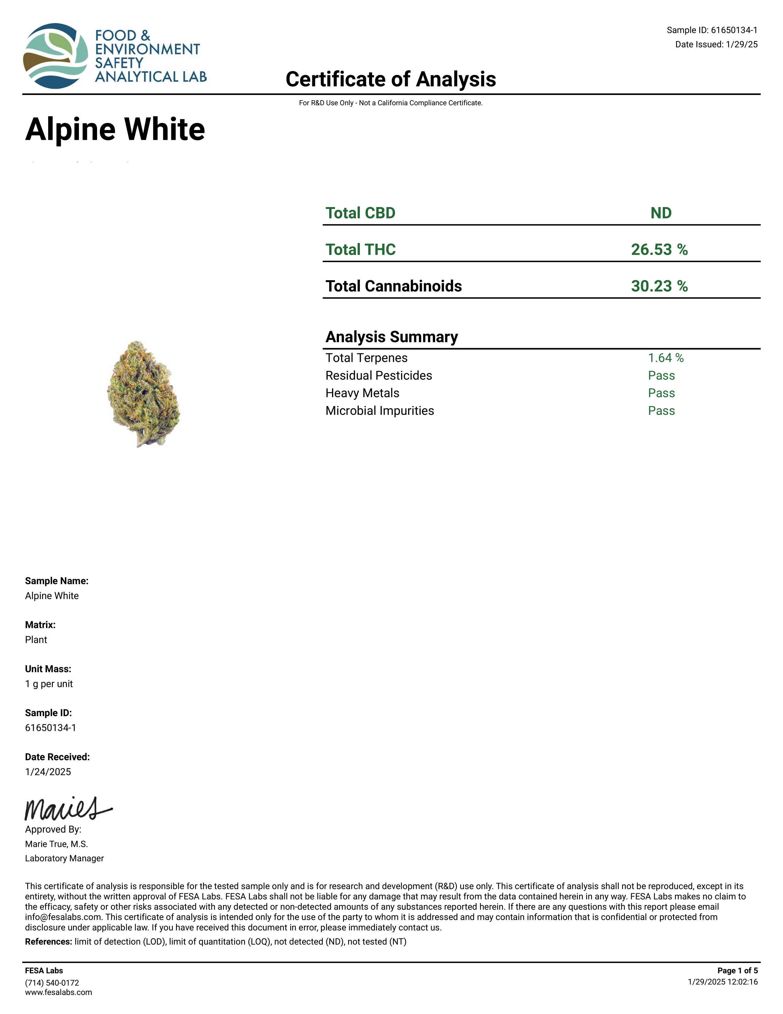 Alpine White Premium Flower