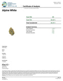 Alpine White Premium Flower