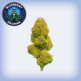 Blueberry Skunkk Premium Flower