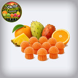 Cactus Cooler Neuro Enhancer Gummies - 10 Pack