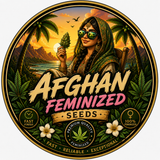 Afghan Feminized Seeds (2 Pack)