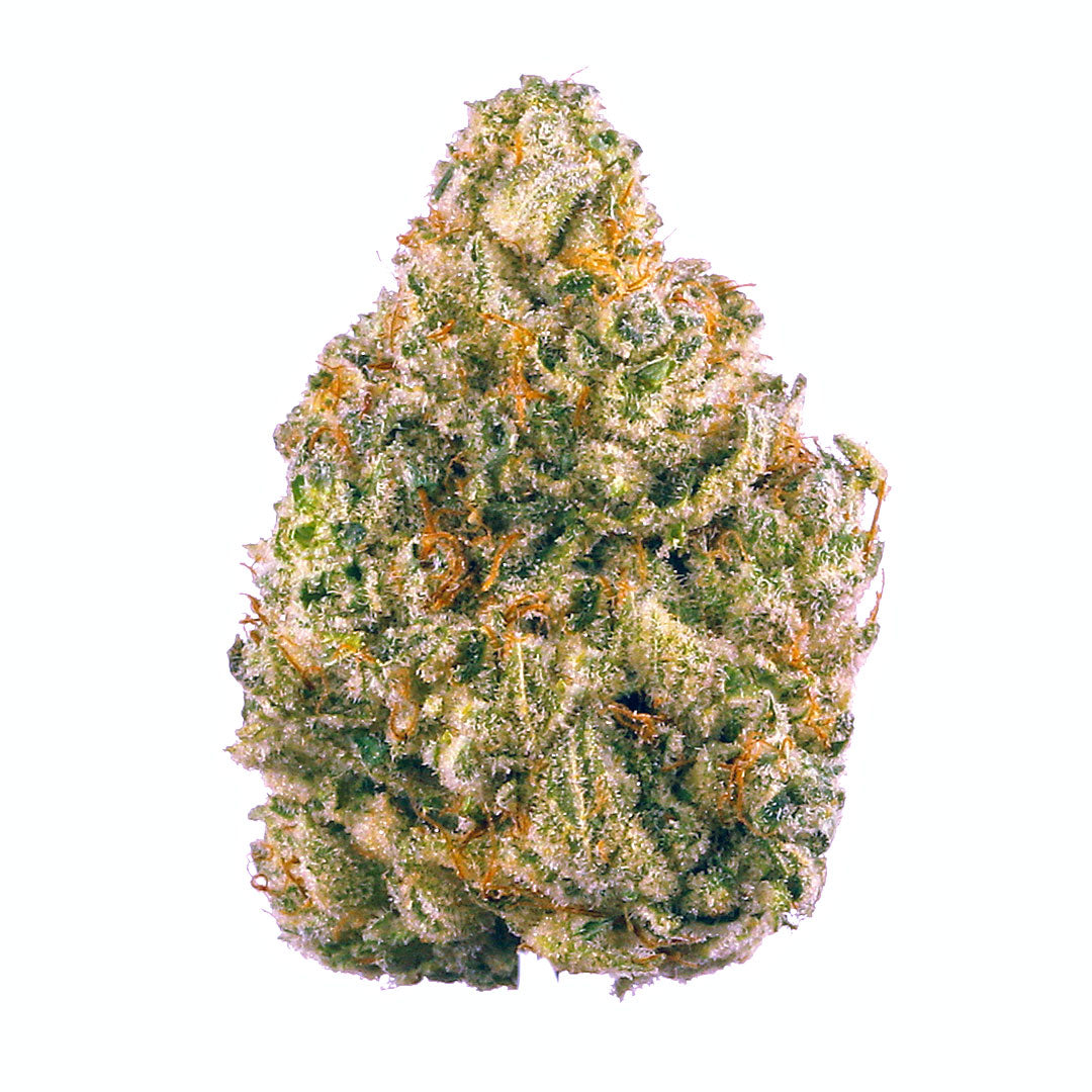 Chemdawg Feminized Seeds