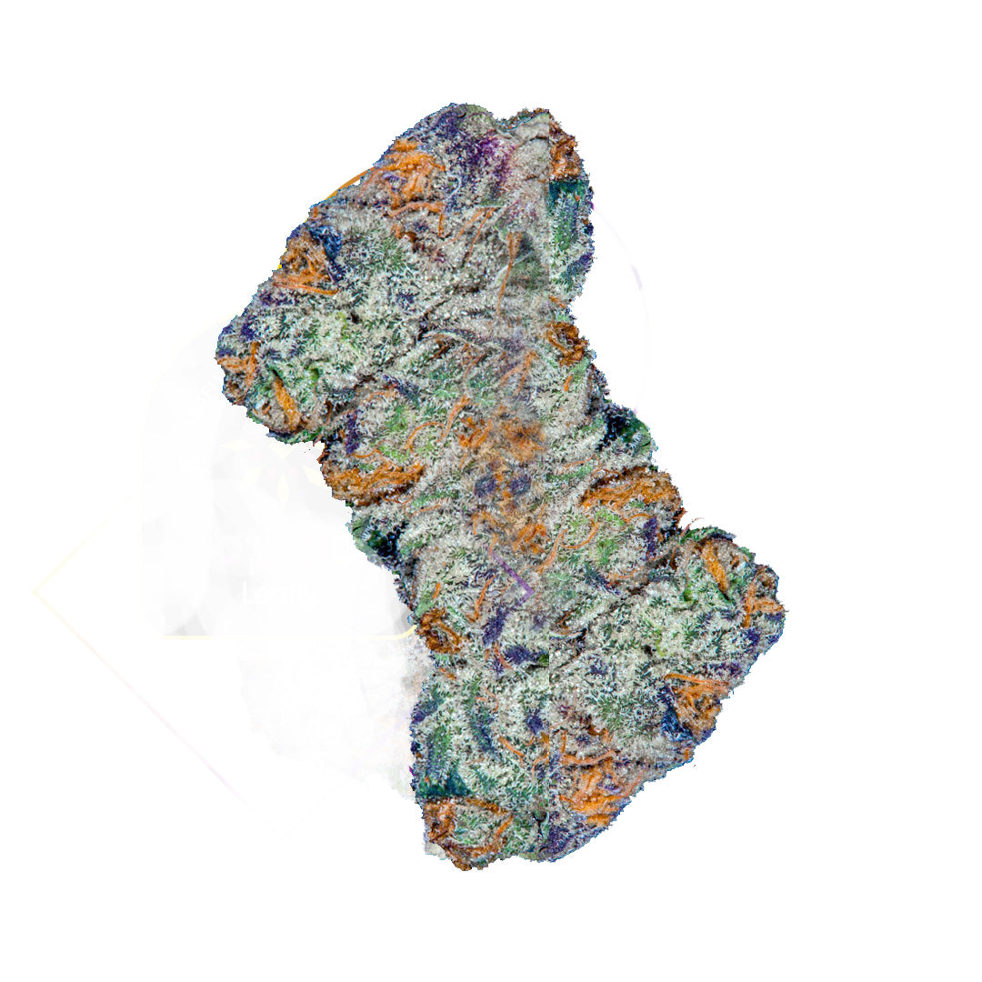 Do-si-dos Autoflower Seeds