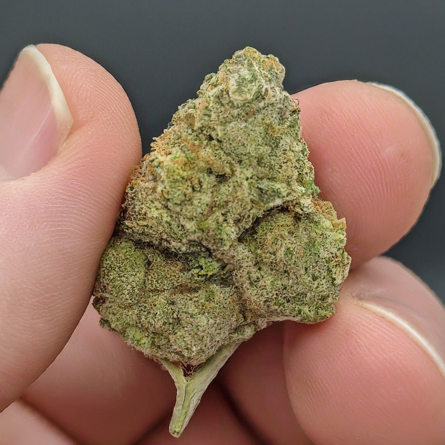 Durban Poison Feminized Seeds