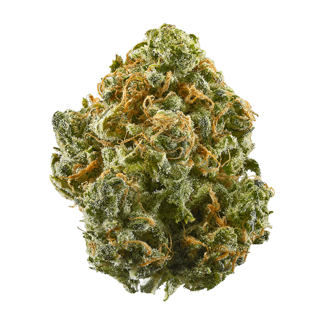 Fruit Salad Feminized Seeds (2 Pack)