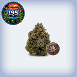 195 THCa Premium Flower Strain