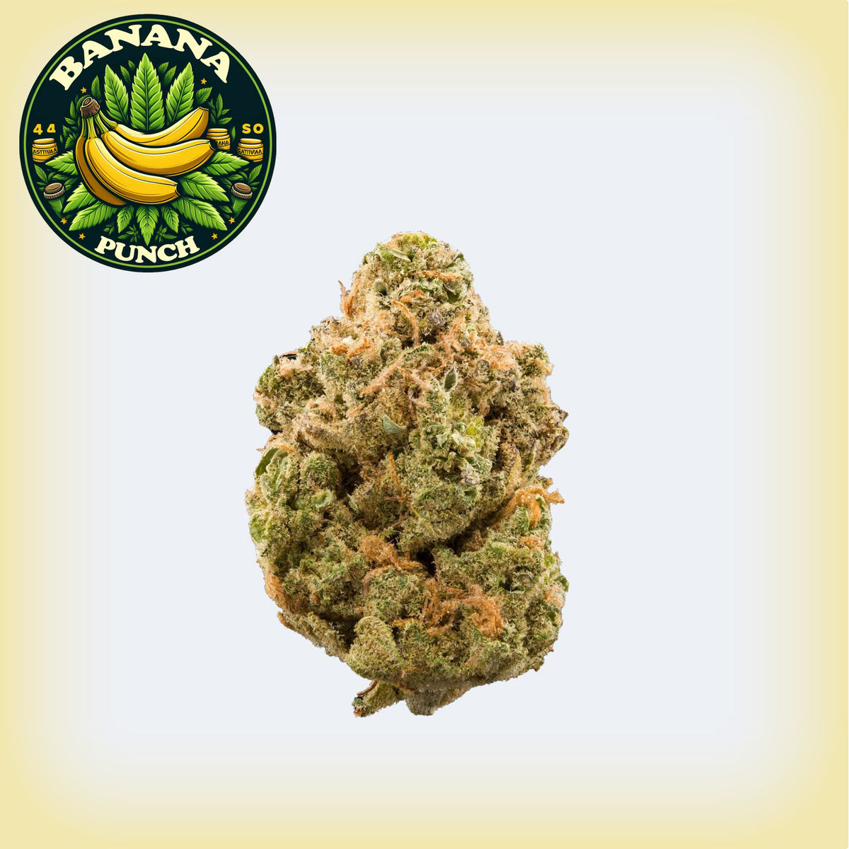 🍌 Banana Punch THCa Ounce Sale