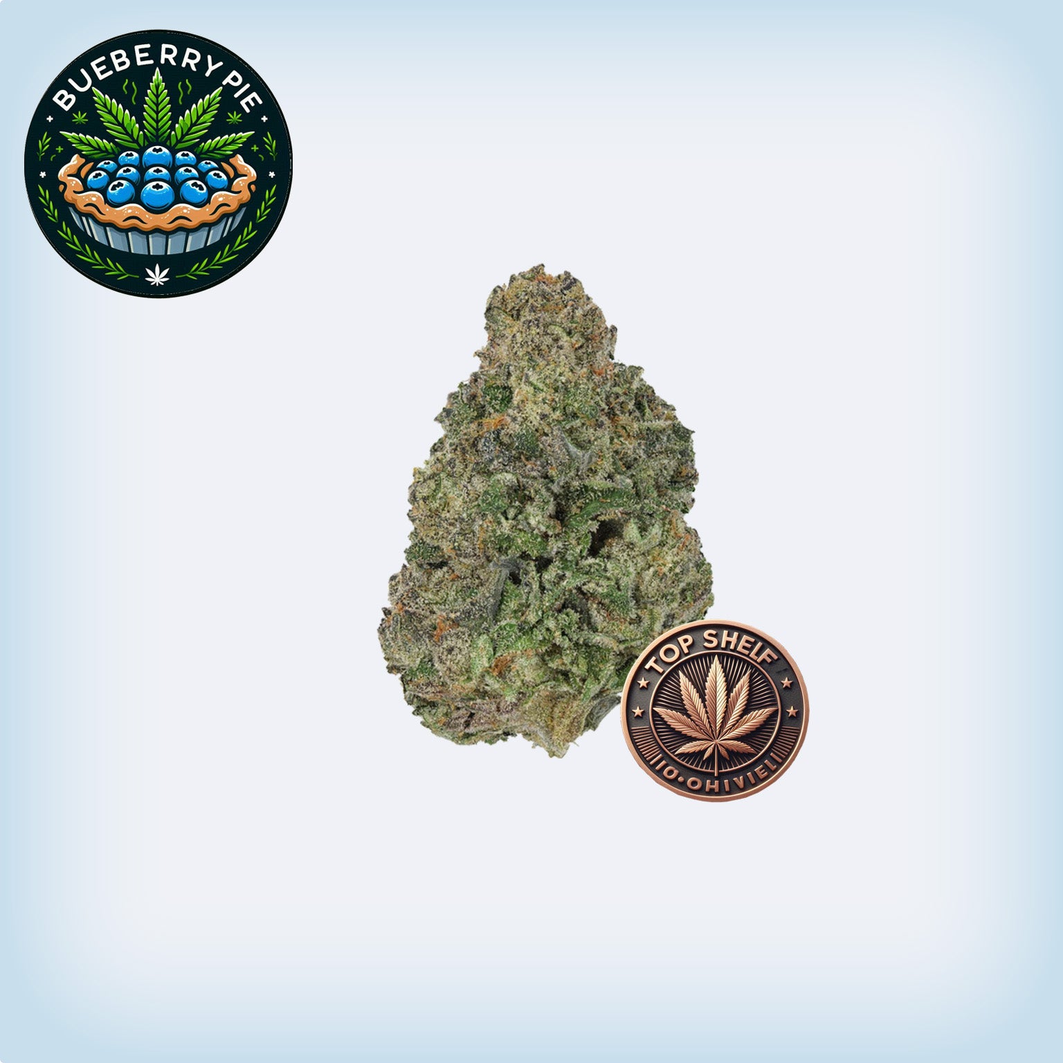 Blueberry Pie Premium Flower