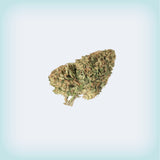 Candy Magic Premium Flower