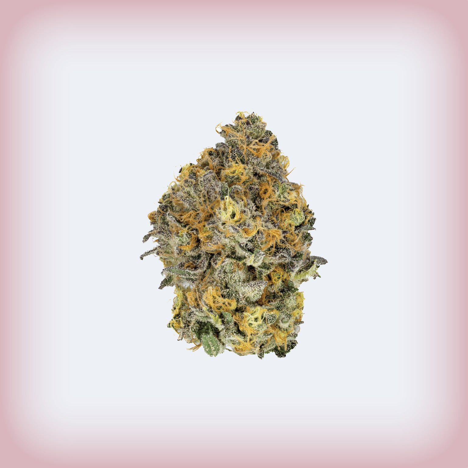 Cherry Pie THCa Premium Flower