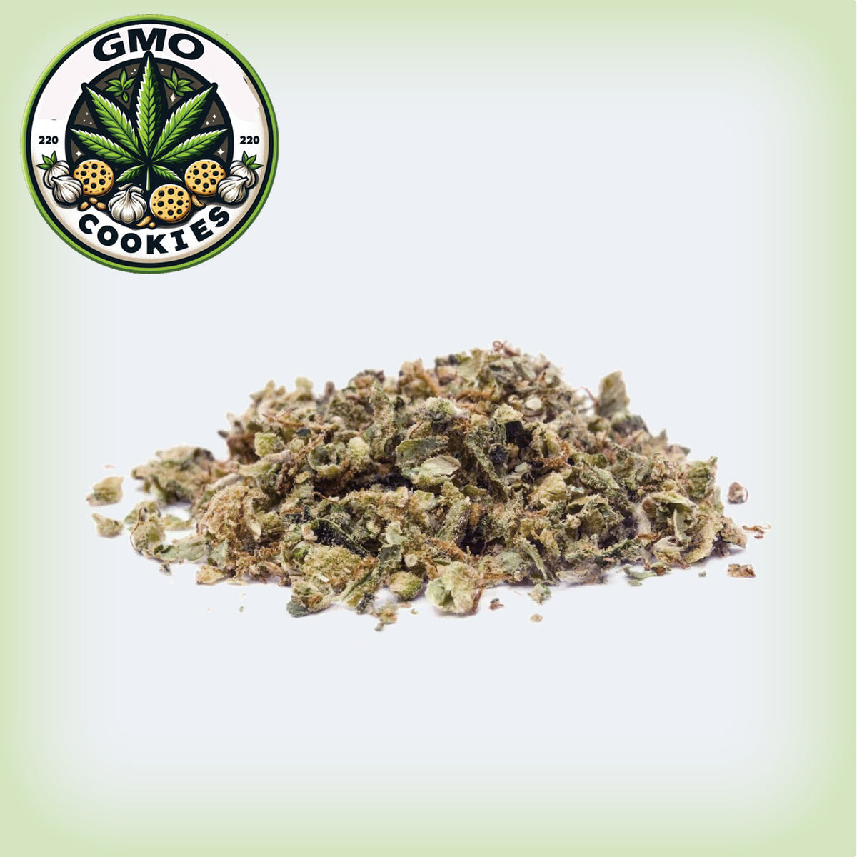 🧄 GMO Garlic Cookies Premium Flower Shake