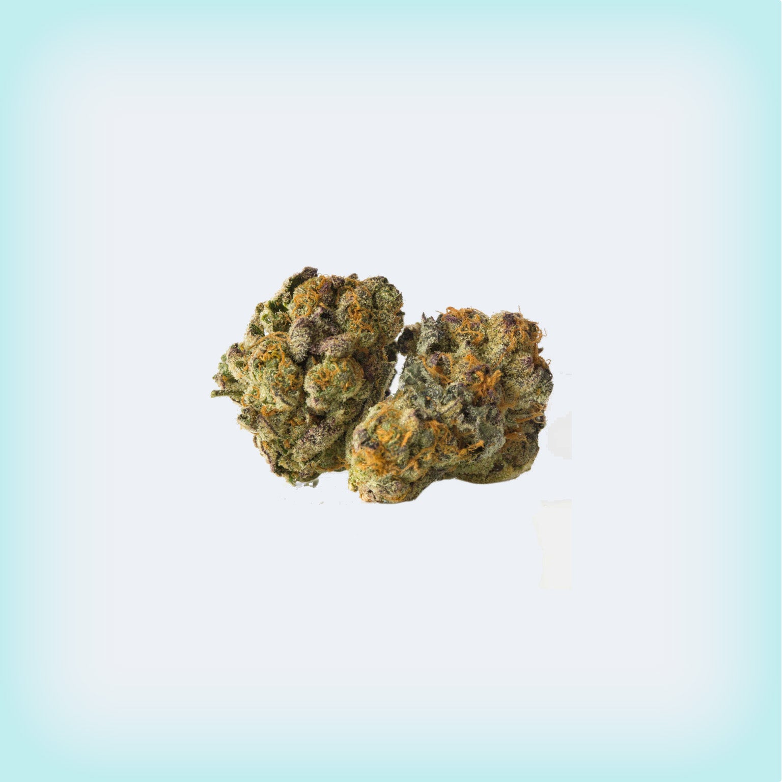Gelato Cake Premium Flower (Smalls)