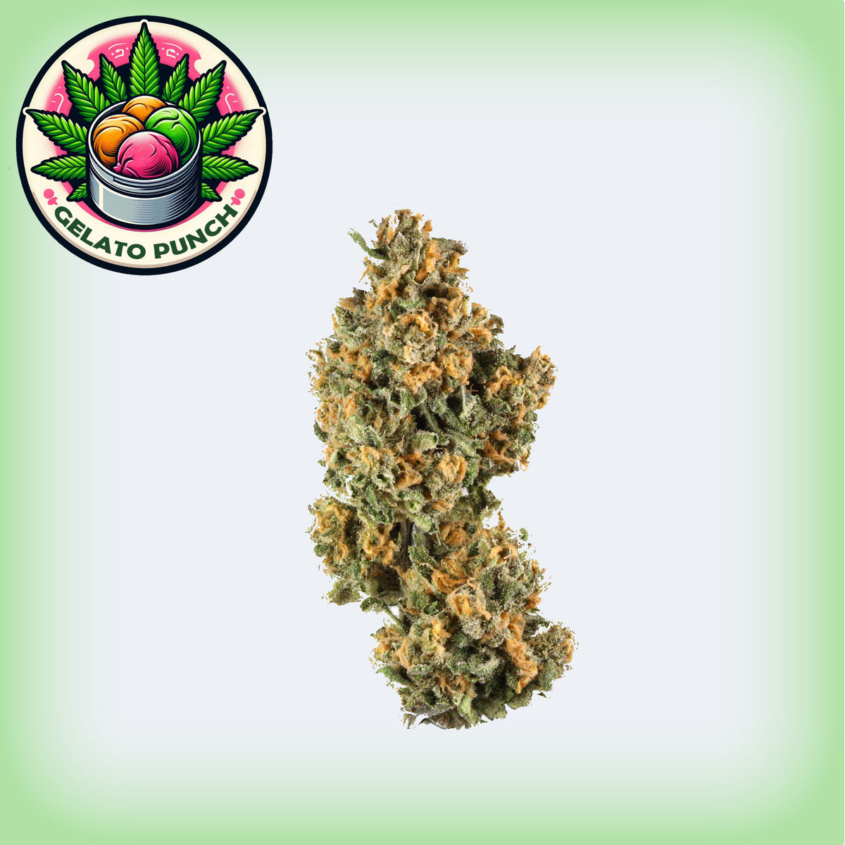 Gelato Punch THCa