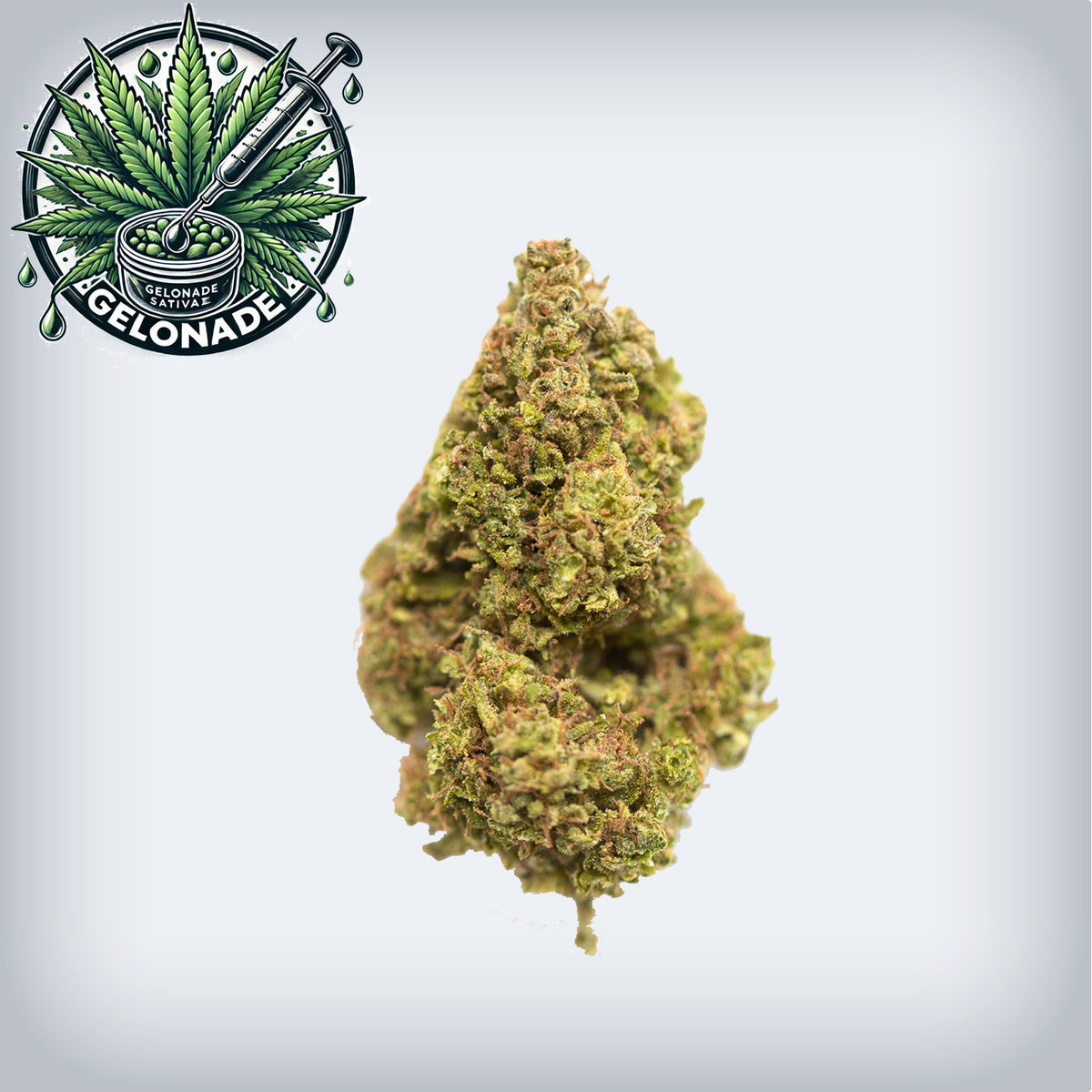 Gelonade Premium Flower