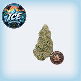 Ice Premium Flower