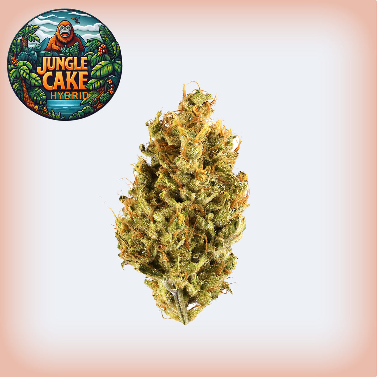 Jungle Cake Premium Flower (Smalls)
