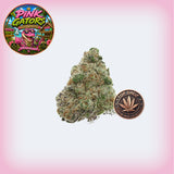 Pink Gators Premium Flower